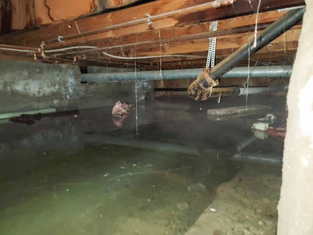 Water damage restoration mold remediation in CT