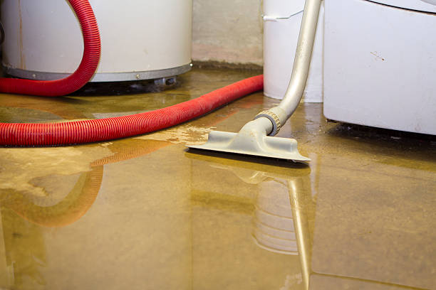 Best Water damage restoration mold remediation  in Weatogue, CT